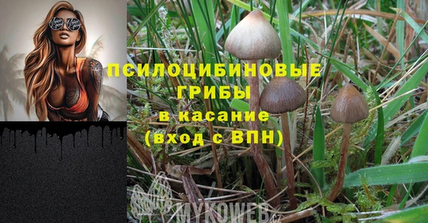 бутират Сосновый Бор