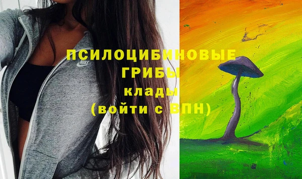 дурь Сосновка