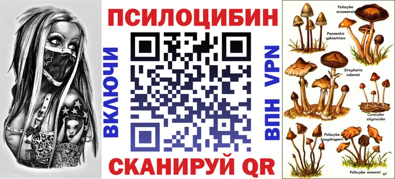 Галлюциногенные грибы Psilocybe  закладка  Шарья 
